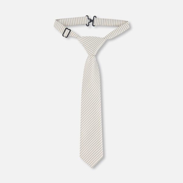 2par2 | Designed in Canada, Neck Tie Light Taupe Striped