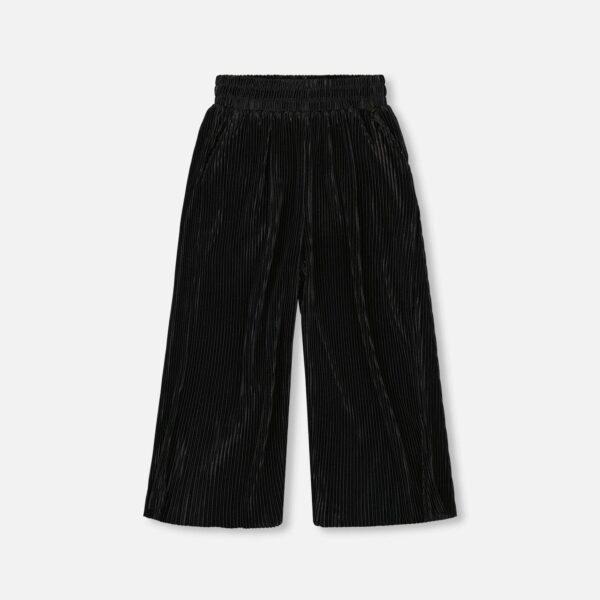 2par2 | Designed in Canada, Wide Leg Pleated Pants Black