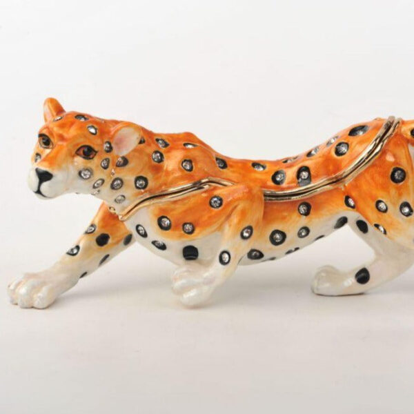 Cheetah on the Hunt | Keren Kopal