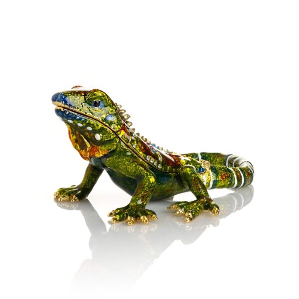 Green Iguana | Keren Kopal