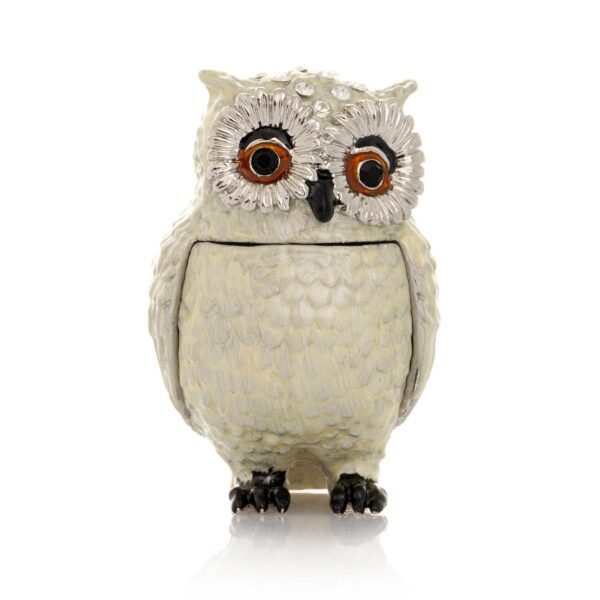 Silver and White Owl | Keren Kopal