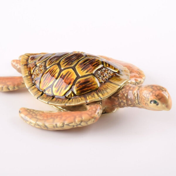 Brown Sea Turtle | Keren Kopal