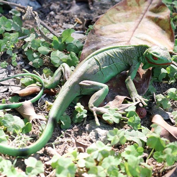 Simulation Animal Crawling Amphibious Lizard Model Toy