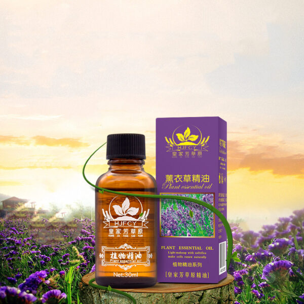 Guasha Oil Moisturizing Beauty Salon