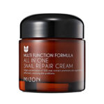 Mizon All In One Snail Repair Cream 75ml